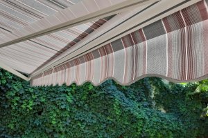 Маркизы и навесы в Перми